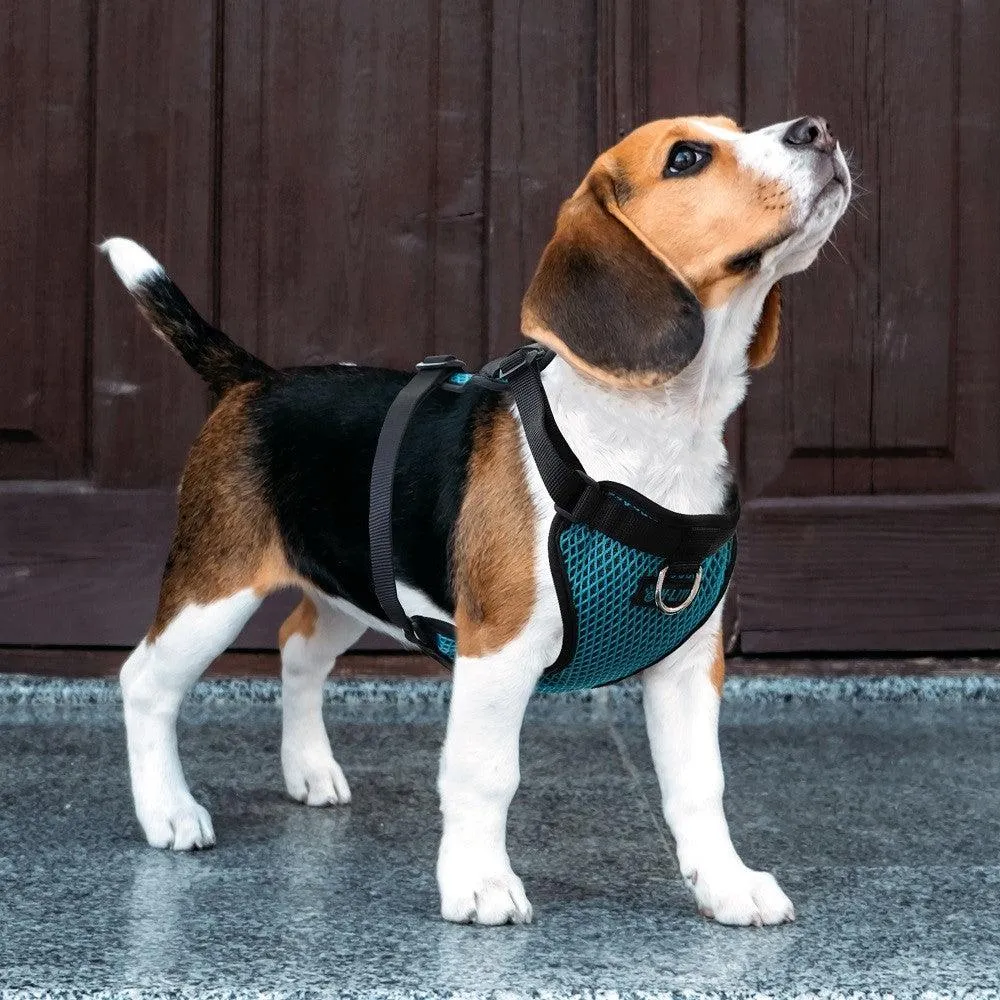 DOCO® X-Lite Front Range Mesh Dog Harness